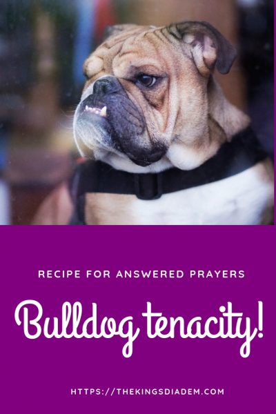 pray persistently